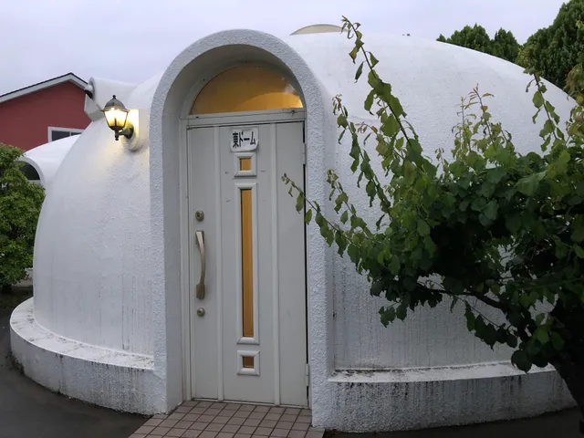 The Hirosawa City Domehouse