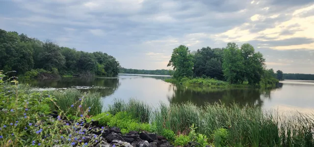 Busse Woods - Picnic Grove #12