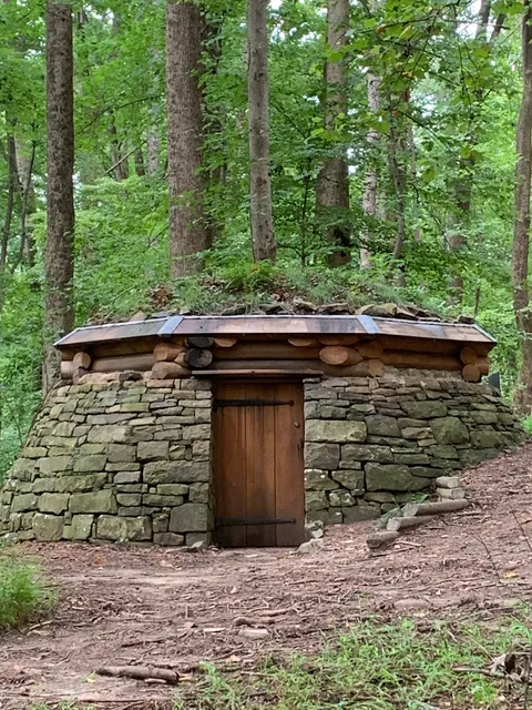 Cloud Chamber for the Trees and Sky