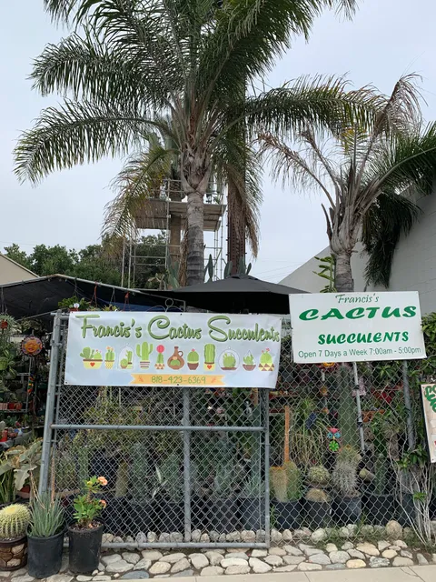 Francis Cactus Succulents