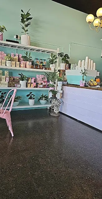 She Knows Coffee Plants and Pantry