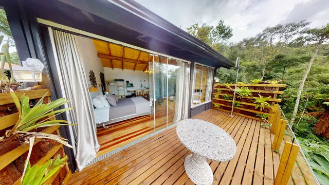 Cisne Negro Villarejo