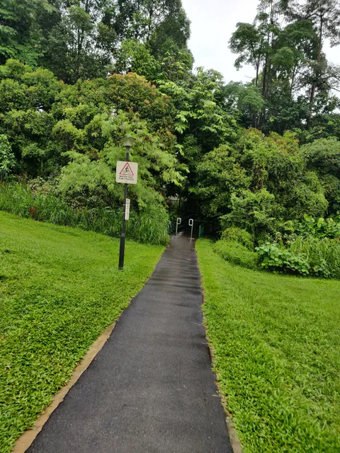 Zhenghua Park