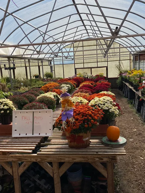 Stiles Vegetable Farm and Greenhouse