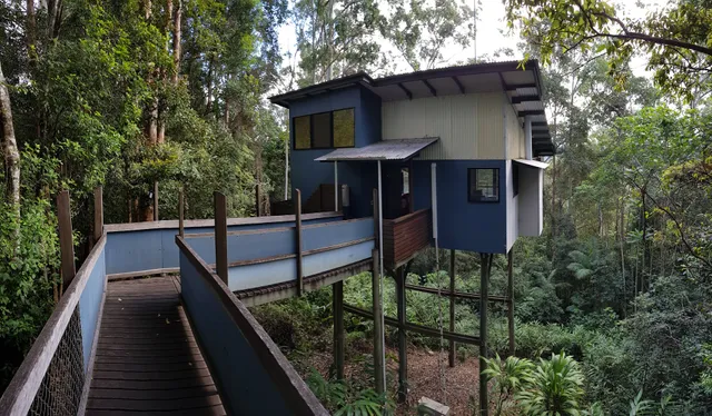 Lyola Pavilions in the Forest