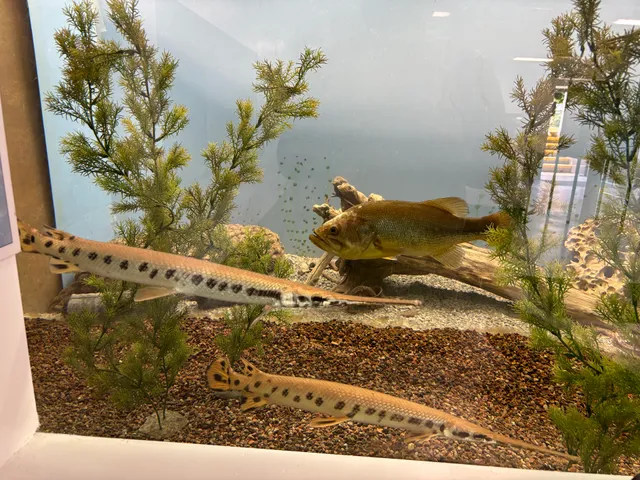 Cape Vincent Fisheries Station