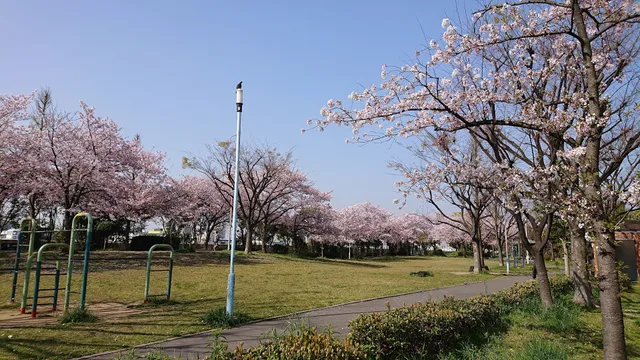 Kitamura Minami Park