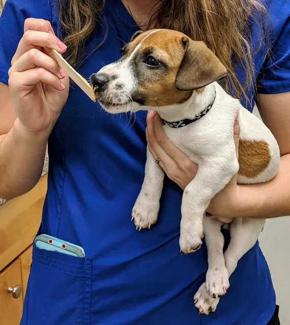 Galena Animal Medical Clinic