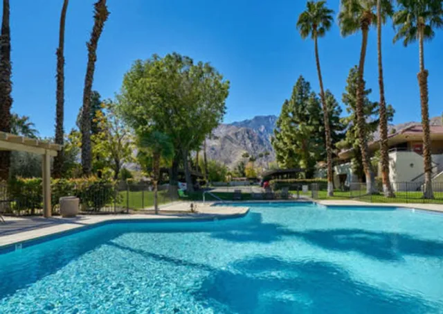 Palm Springs Oasis