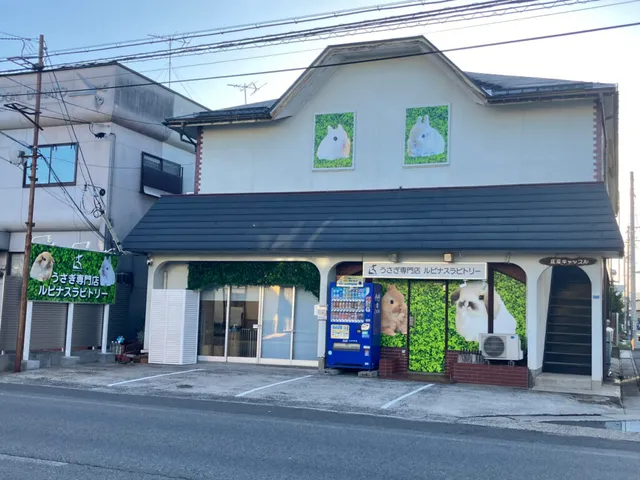 うさぎ専門店 Lupinus Rabbitry 山形店