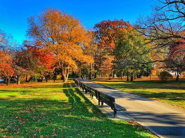 Kissena Park Tennis Courts