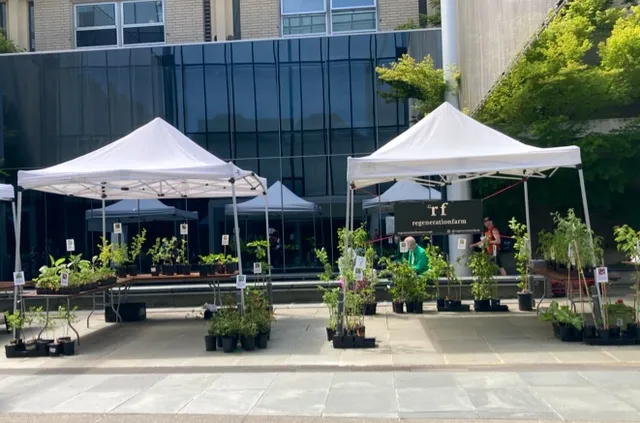 Regeneration Farm Seattle Nursery