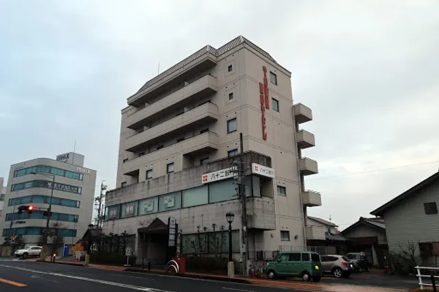 Nakatsugawa Town Hotel