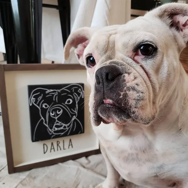 Hammer & Stain Buffalo DIY Creative Art Kits