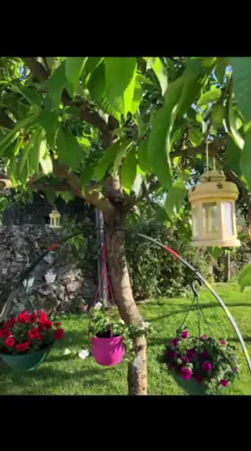 Turismo Rural _ ‘Seven Farm’