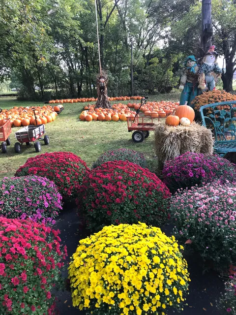 MacFarlane's Pumpkin Patch