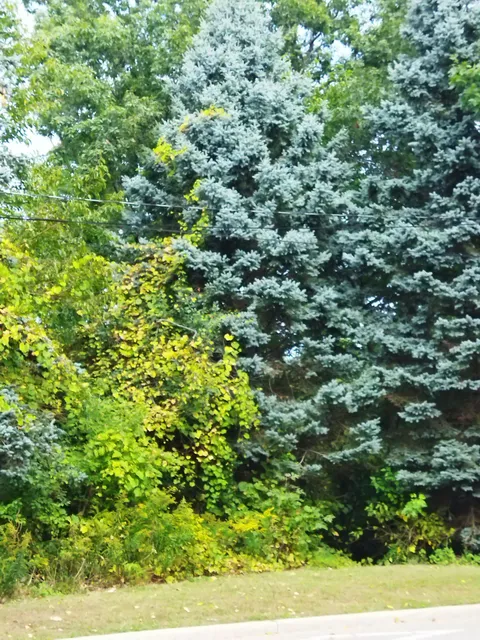 photo-3