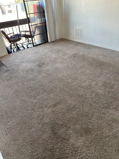 Magic Carpet Clean LLC