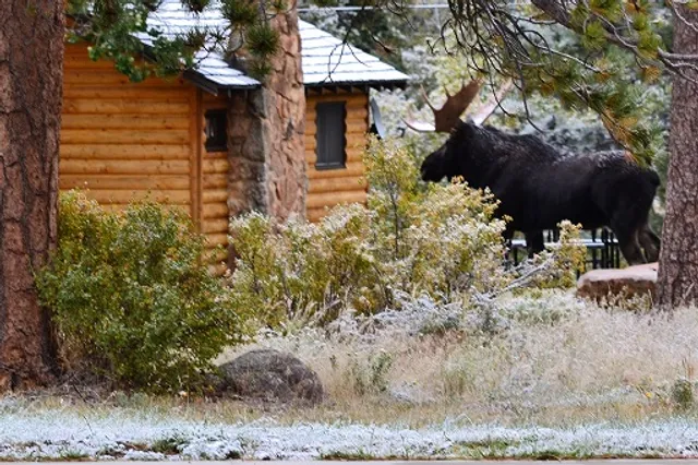 Rockmount Cottages by the River
