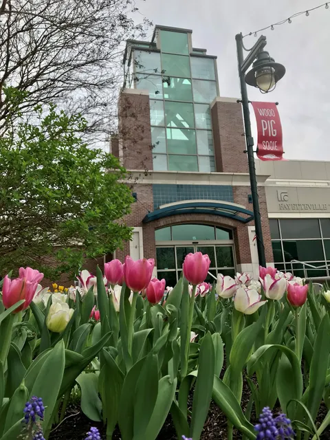 Fayetteville Town Center