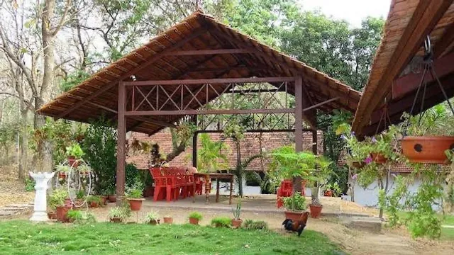 Wild Wood Tiger Resort