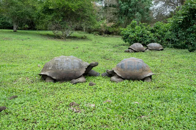 Rancho El Manzanillo