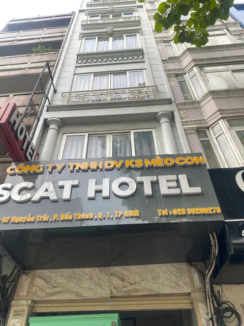 Scat Hotel
