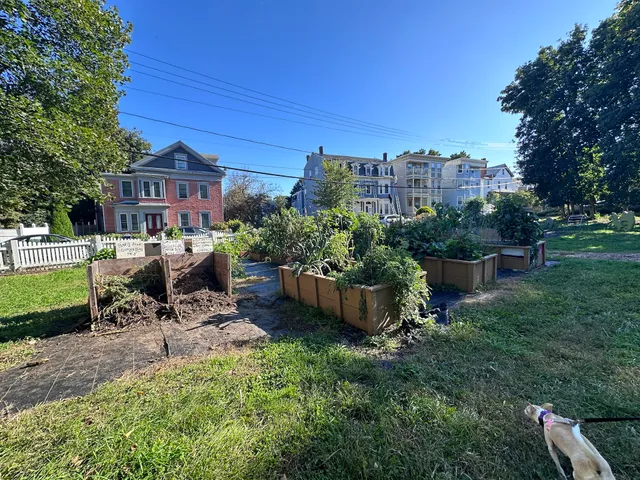 Thornton Street Urban Farm & Community Gardens