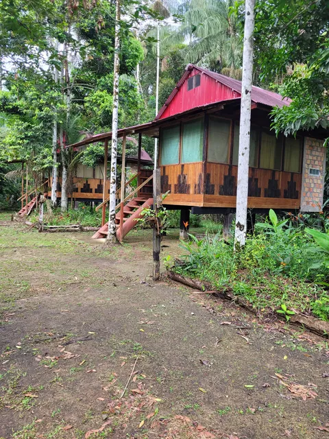 Otorongo Expeditions Amazon River Lodge