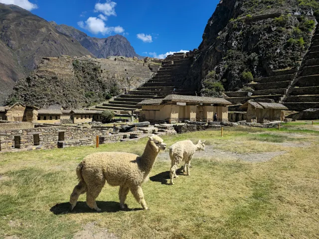 Ruinas ollantaytambo