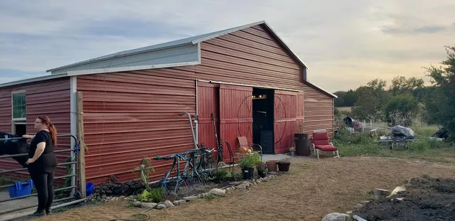 Wild Meadows Arts Collective