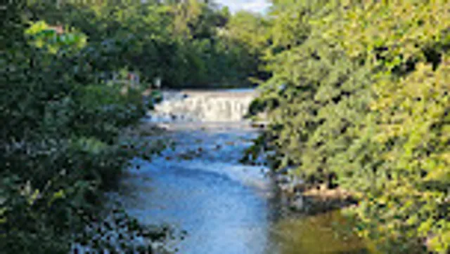 Bronx River Community Garden