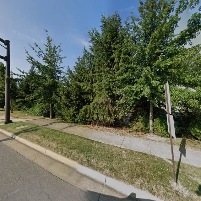 BOMOMO | Bubble Tea & Street Food