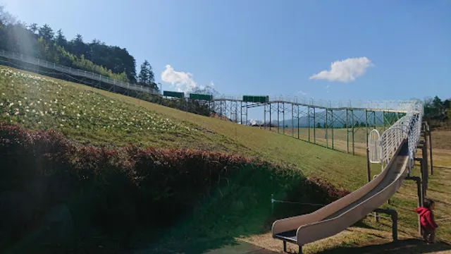 諏訪の原公園 ローラーすべり台