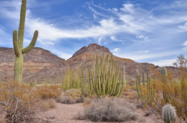 Kris Eggle Visitor Center