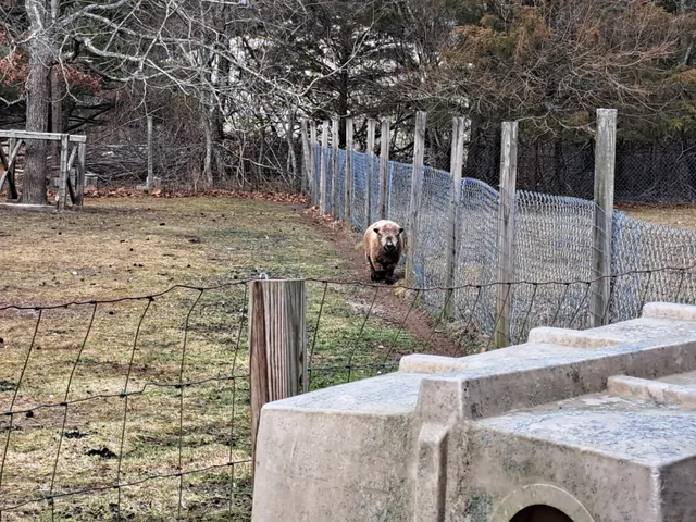 Swan Bay Folk Art Center