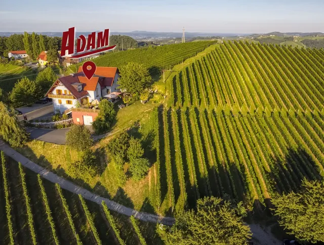 ADAM Weingut & Gästezimmer, Amandus & Carmen