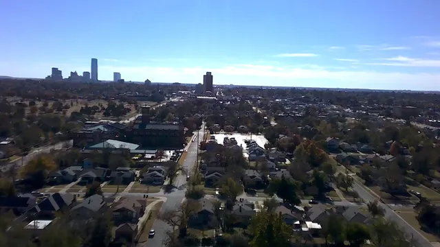 Dolphin Wharton Park