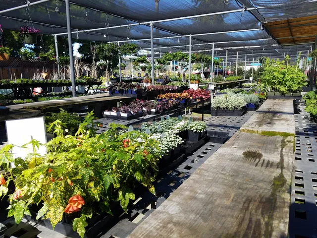 Wegman's Nursery