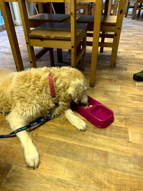 Barking Blends Coffee House