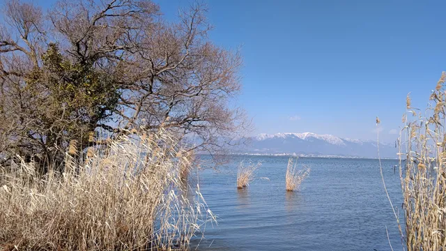 湖岸緑地 津田江-3