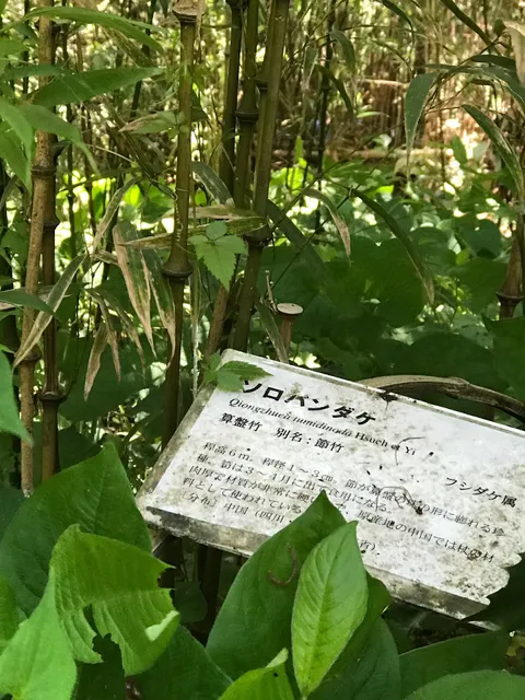 photo-1
