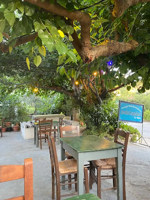 Τα μπακαλιαρακια της Αθηνας