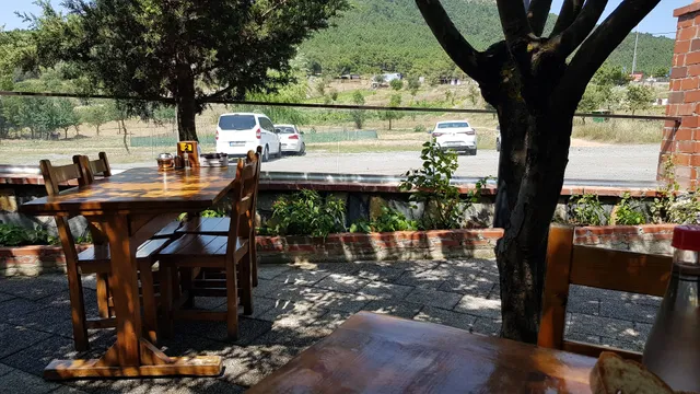 Yeşil Vadi Kuzu Çevirme