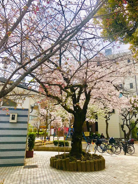 Taitokuritsuhanazono Park