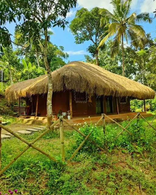 Nanmane Chekady & NAVA organic shop