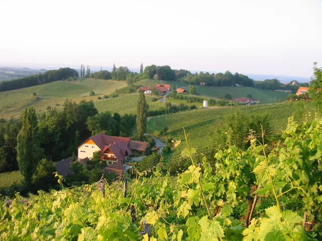 Weingut Riegelnegg Karl