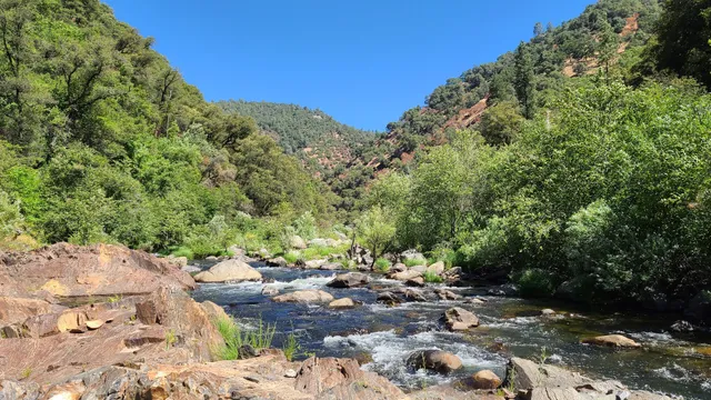 Roaring Camp Mining Company