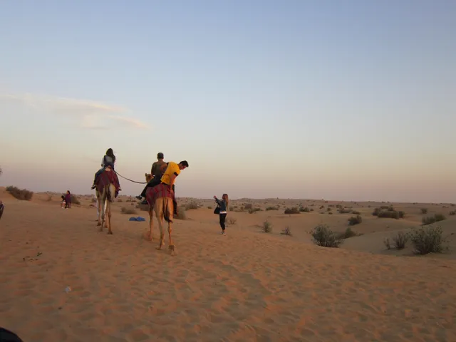 Desert Bookings Camp