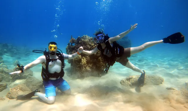 Paradise Adventure Tours